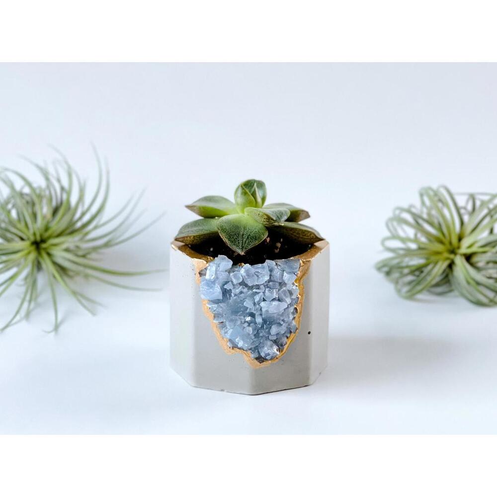 Succulent Crystal Planter | Geode Planter | Raw Blue Calcite - Picture 9 of 9